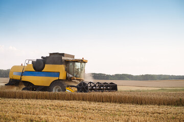 Combine harvester harvests ripe wheat. Ripe ears of gold field on the sunset cloudy orange sky...