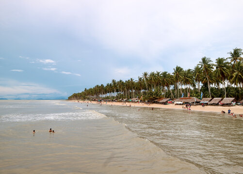 Beach with coconut trees