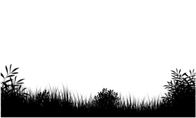 grassy landscape with white background