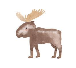Watercolor moose. Arctic animal illustration for kids