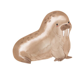 Watercolor walrus.  Arctic animal illustration for kids