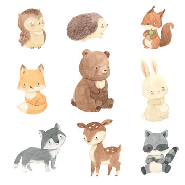 Watercolor woodland animals. Bear, fox, bunny, raccoon, illustration for kids