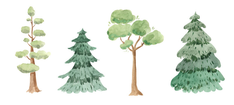 Watercolor green trees. Woodland illustration for kids