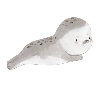 Watercolor seal.  Arctic animal illustration for kids