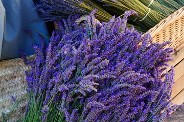 Dried lavender bunches in Provence, France