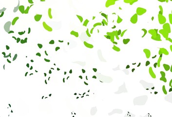 Light Green vector backdrop with abstract shapes.