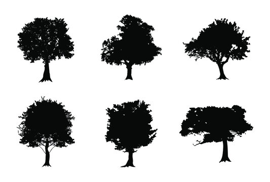 Tree silhouettes. Set of vintage black tree.