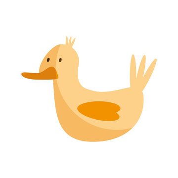 cute duck bird