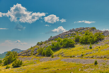 Velebit mountain green landscape in summer time