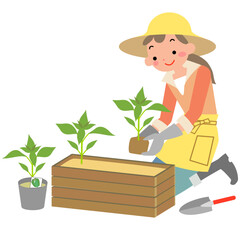 夏野菜の苗を植える若い女性