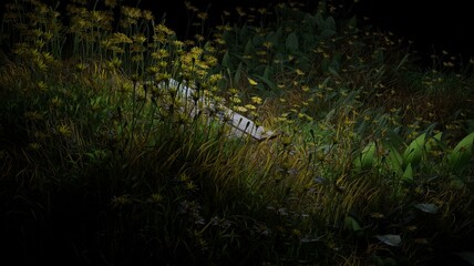 3d render grass and flowers blooming at night scene nature wallpaper backgrounds