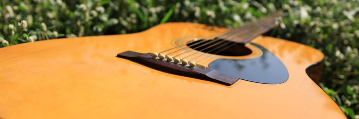 banner of acoustic guitar on the green small plant foliage.