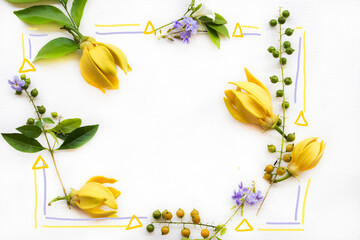 yellow flowers ylang ylang local flora of asia arrangement flat lay postcard style on background white 