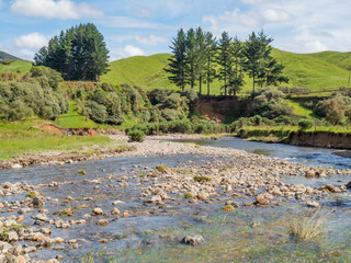 landscape with river and trees