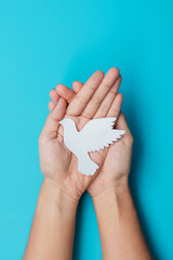 International Day of Peace. Hands holding white paper Dove bird on blue background. Freedom, Hope...