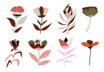 Flowers in blossom, flourishing plants and flora