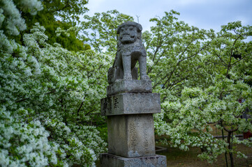 なんじゃもんじゃの木と狛犬