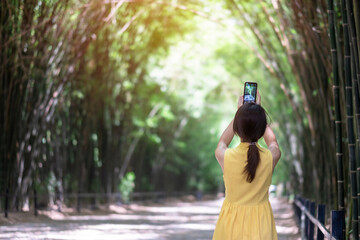 Asian Woman in yellow dress and hat Traveling at green Bamboo Tunnel, Happy traveler taking photo...