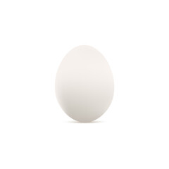 White chicken egg template realistic vector illustration isolated on white.