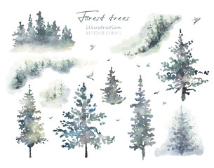 Watercolor hand drawn forest set with delicate illustration of coniferous trees spruce, fir, pine, foggy landscapes silhouette, birds. Elements isolated on a white background. Woodland collection - obrazy, fototapety, plakaty