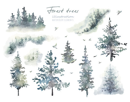 Watercolor hand drawn forest set with delicate illustration of coniferous trees spruce, fir, pine, foggy landscapes silhouette, birds. Elements isolated on a white background. Woodland collection