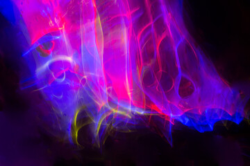 美しい色で模様を表現しました。