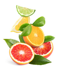 Fresh juicy citrus fruits and green leaves on white background