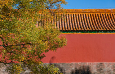 The Forbidden City in Autumn