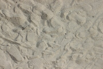 Beach Sand texture background