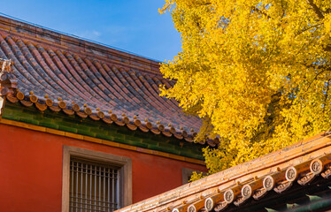 The Forbidden City in Autumn