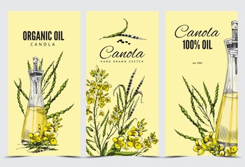 Canola oil labels collection in vintage style hand drawn vector illustration. - obrazy, fototapety, plakaty