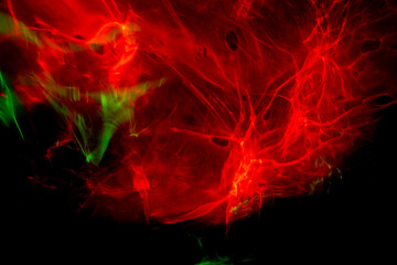 美しい色で模様を表現しました。