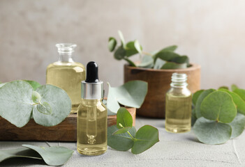 Bottles of eucalyptus essential oil and plant branches on light table