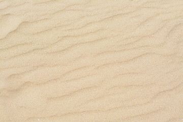 Fototapeta na wymiar Dry beach sand with wave pattern as background