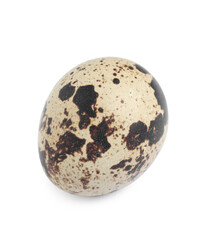 One beautiful quail egg isolated on white
