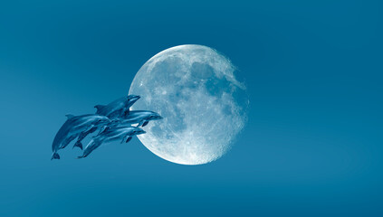 Group of dolphins jumping on the water with full moon - Beautiful seascape and blue sky 