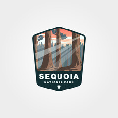 sequoia national park vector patch design, giant tree logo design - obrazy, fototapety, plakaty