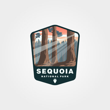 sequoia national park vector patch design, giant tree logo design