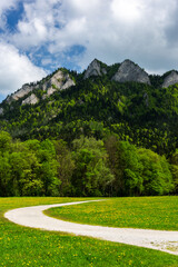 Fototapeta na wymiar Pieniny Mountains Landscape in Poland at Spring