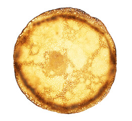 One delicious crepe isolated on white, top view