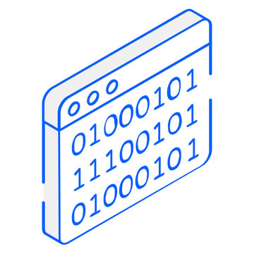 Binary Coding 