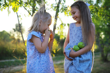 Children walk in the summer in nature. Child on a sunny spring morning in the park. Traveling with children.