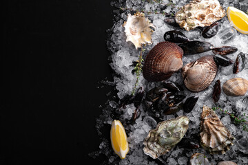 Fototapeta premium Raw oysters and mussels on ice on black slate. Fresh Clams in whole shells for cooking with seasonings on the table, top view and copy space