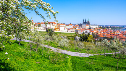 Fototapeta na wymiar Prague Castle on sunny spring day