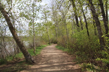 Green Path, Gold Bar Park, Edmonton, Alberta