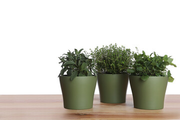Pots with thyme, sage and mint on wooden table against white background