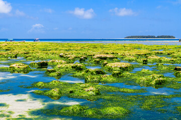 View on Indian ocean at the Zanzibar island. Mnemba island at horizon