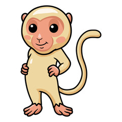 Cute little albino monkey cartoon standing