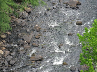water in the woods