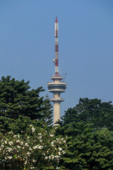 Telecommunication tower against a clear blue sky, surrounded by lush green trees. Urban infrastructure with a natural backdrop."